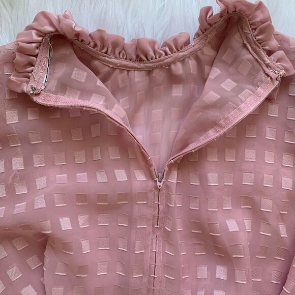Vintage Sheer Pink Ruffle Collar Dress - Picture 6 of 7